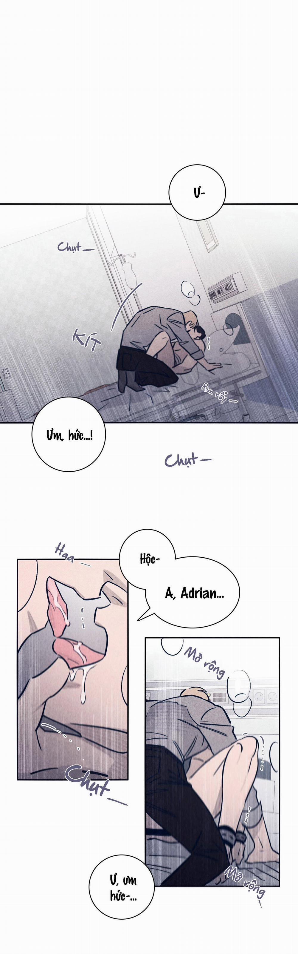 Độc Dược (Marcel) 29 trang 25