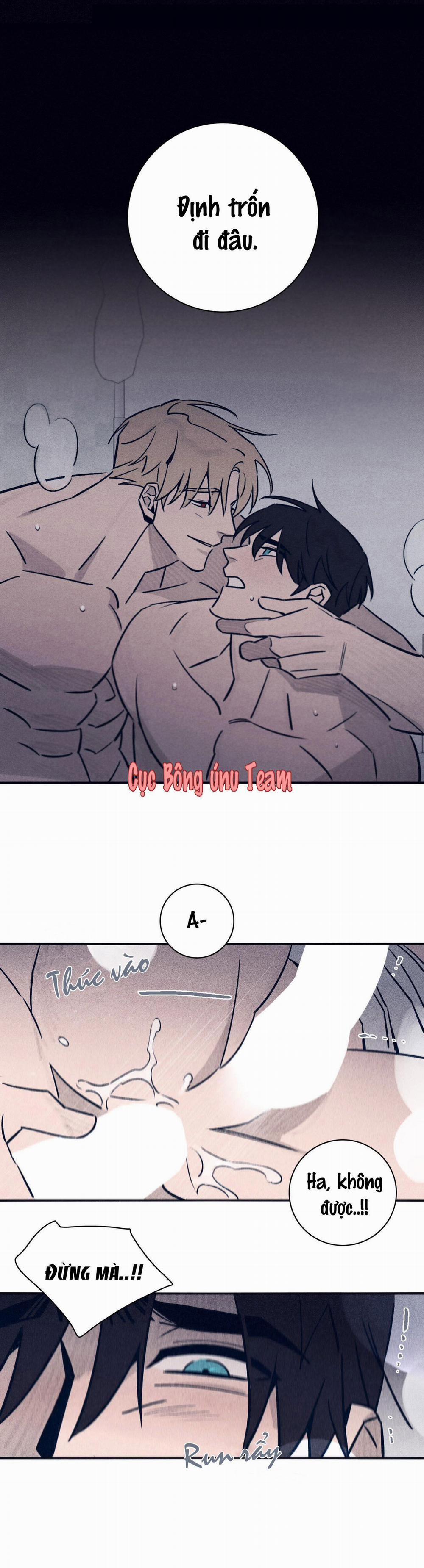 Độc Dược (Marcel) 30 trang 6