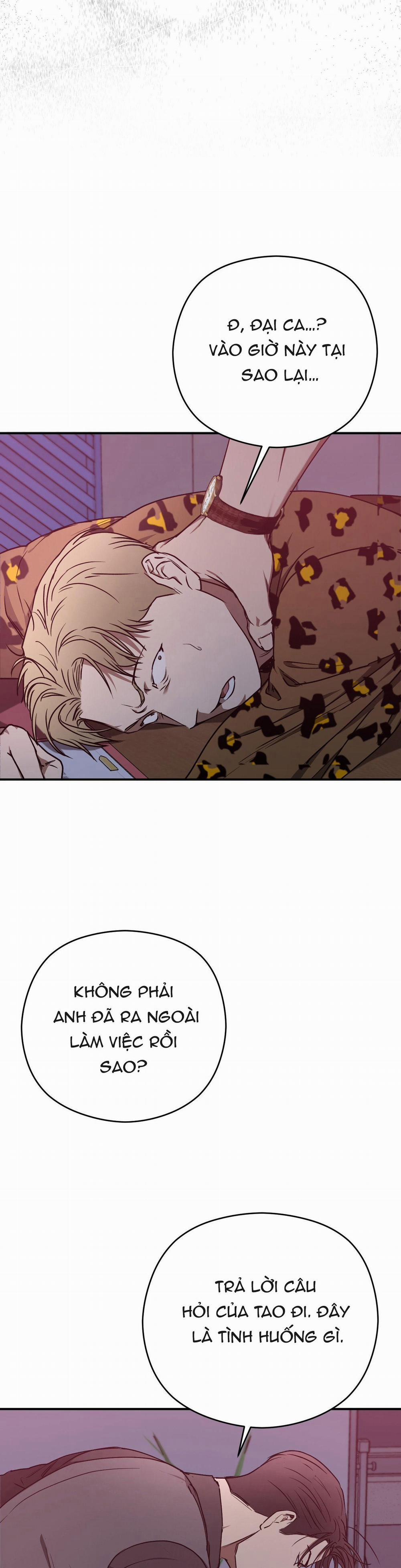 ĐỘC XÀ 14 trang 2