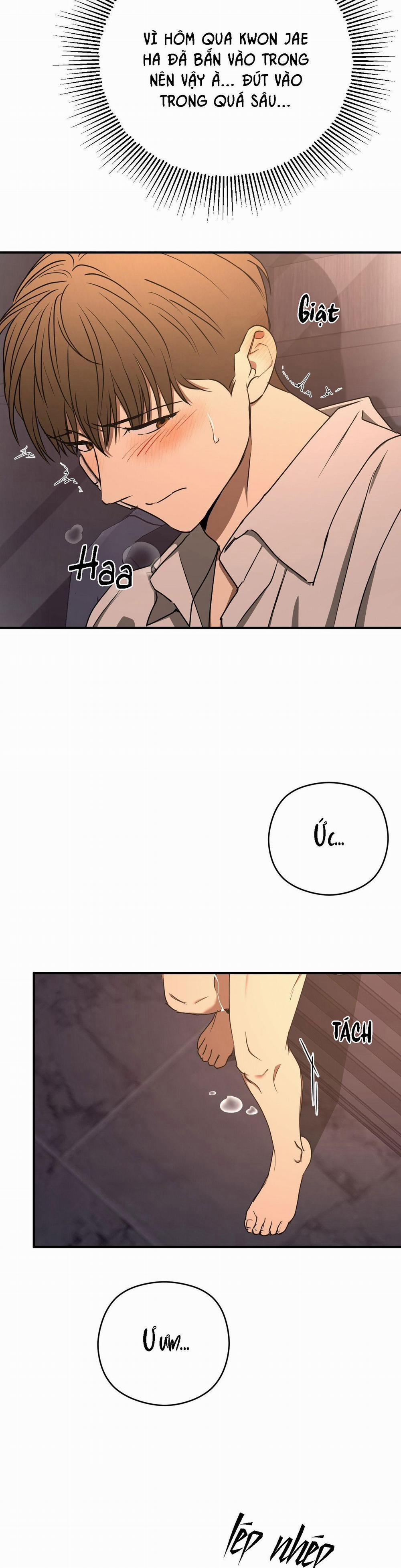 ĐỘC XÀ 20 trang 23