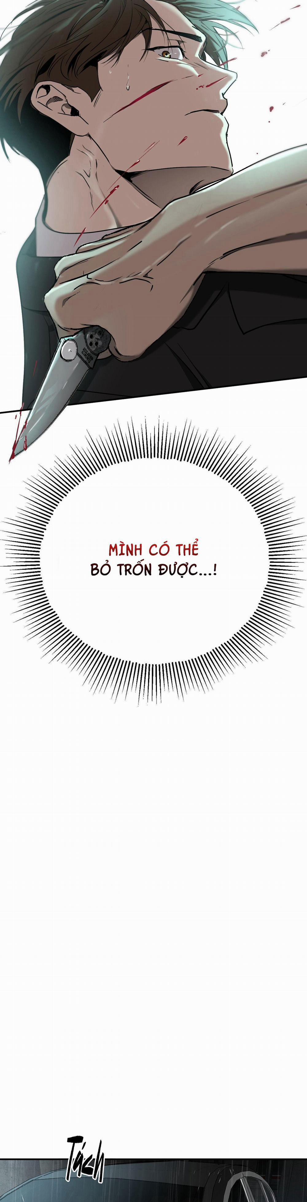 ĐỘC XÀ 8 trang 29