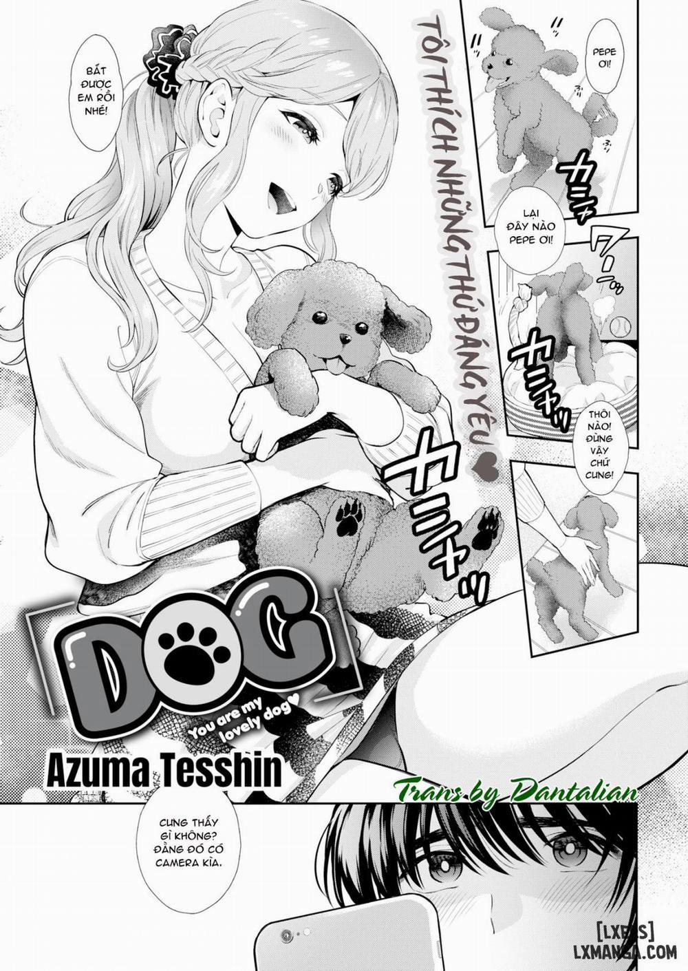 Dog! Oneshot trang 0