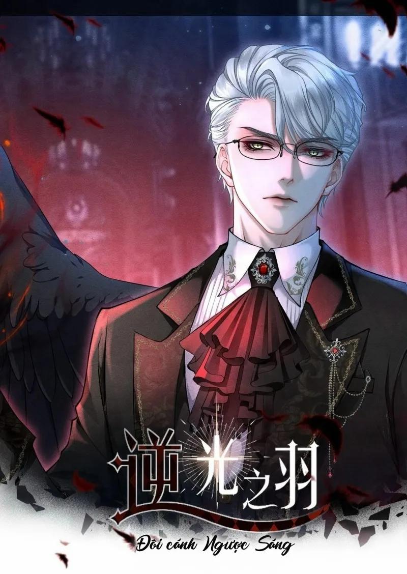 Đôi Cánh Ngược Sáng 2 trang 0