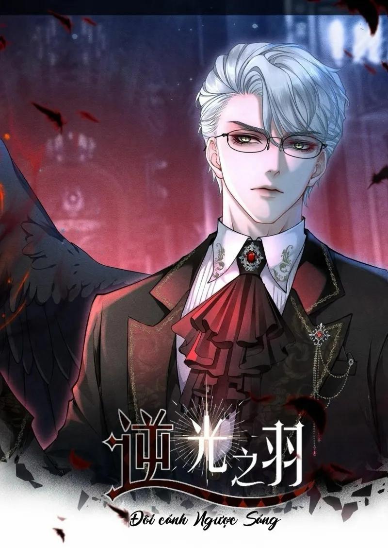 Đôi Cánh Ngược Sáng 7 trang 0