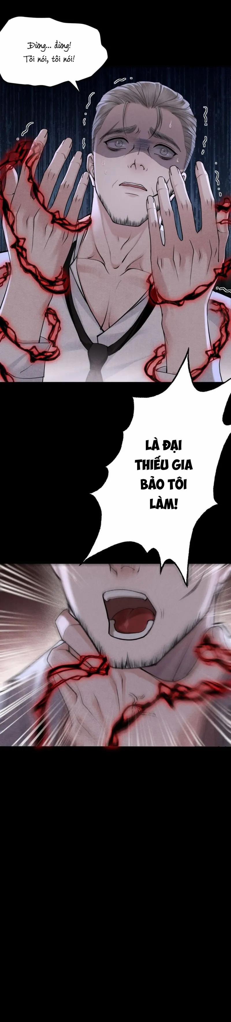 Đôi Cánh Ngược Sáng 7 trang 12