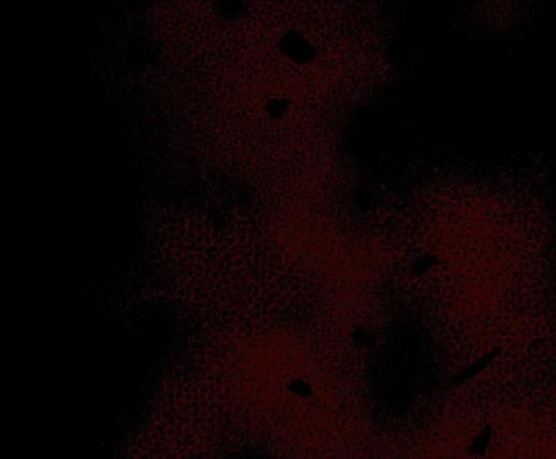 Đôi Cánh Ngược Sáng 7 trang 27