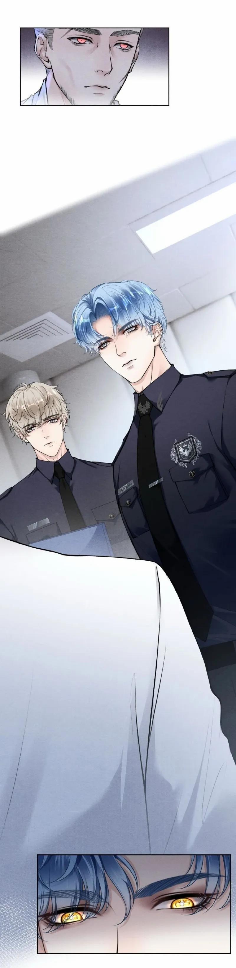 Đôi Cánh Ngược Sáng 8 trang 11