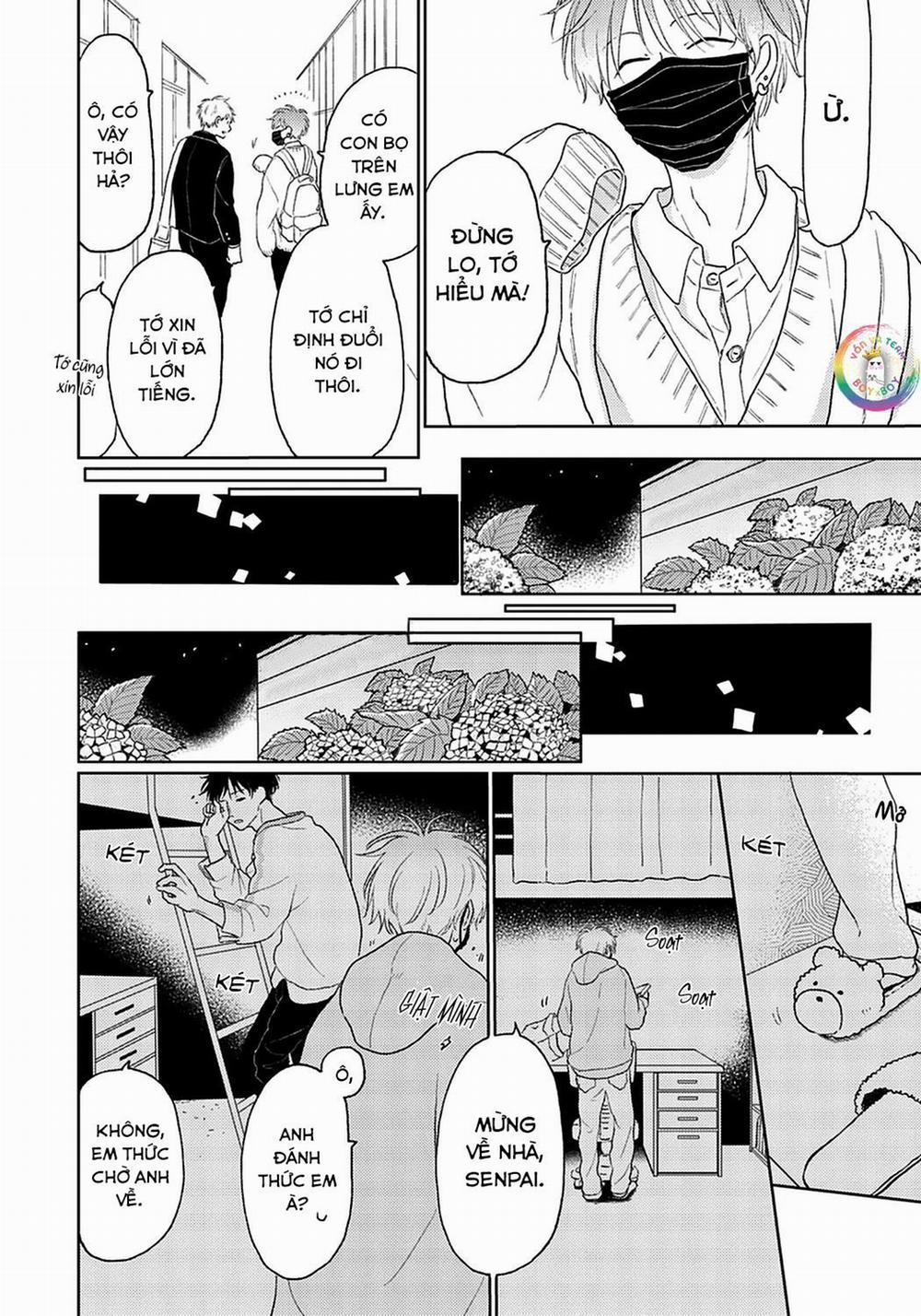 Đợi Chút Đã, Harutora-kun (END) 2 trang 17