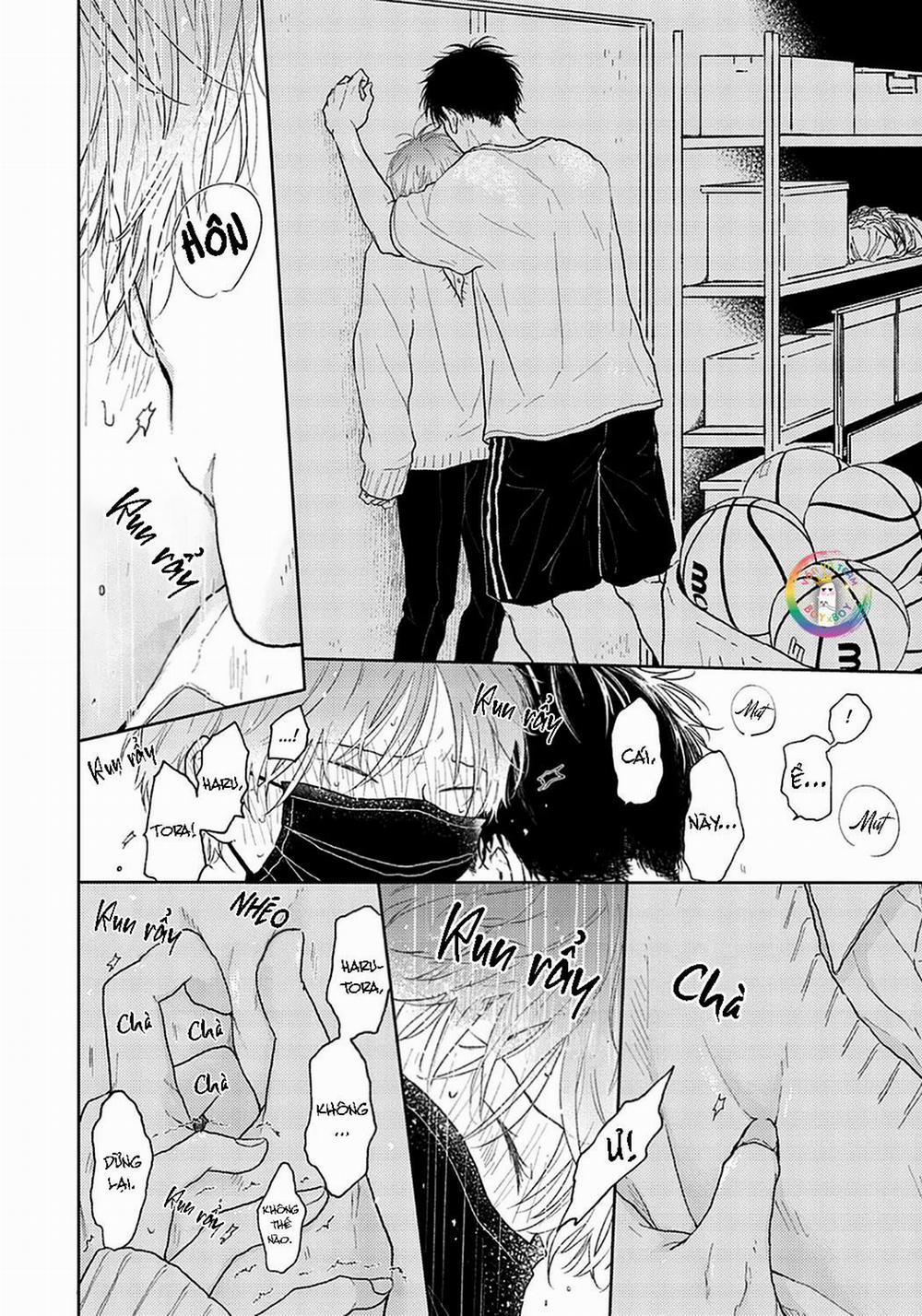 Đợi Chút Đã, Harutora-kun (END) 2 trang 27