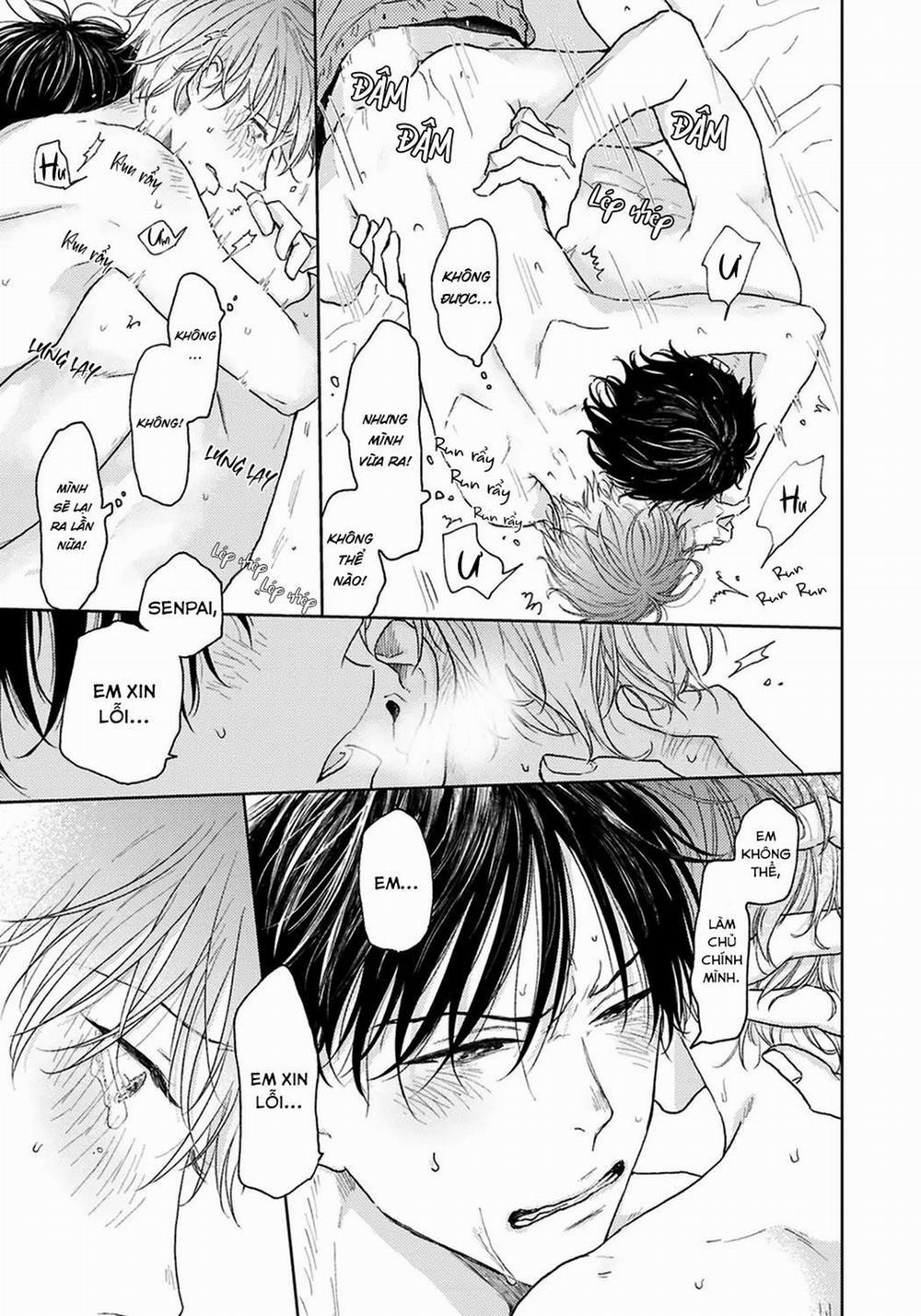 Đợi Chút Đã, Harutora-kun (END) 4.5 END trang 11