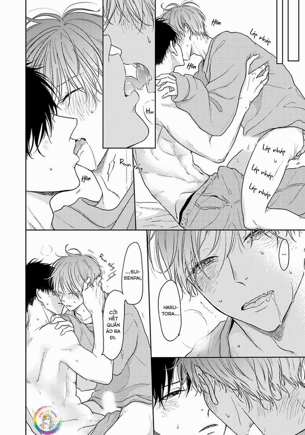 Đợi Chút Đã, Harutora-kun (END) 4.5 END trang 6