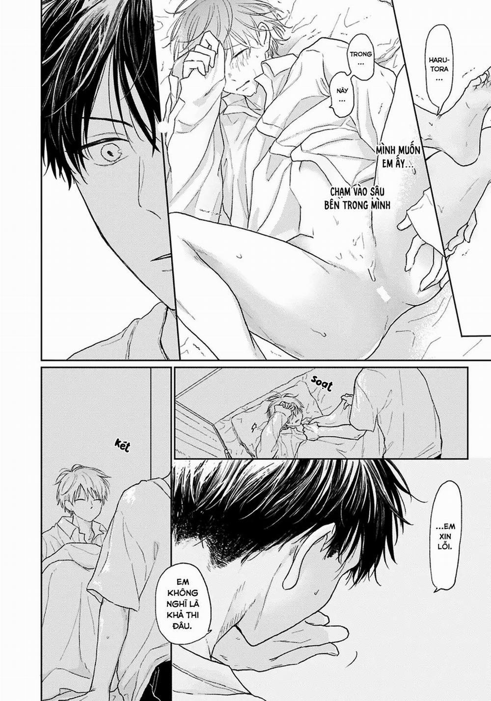 Đợi Chút Đã, Harutora-kun (END) 4 trang 10