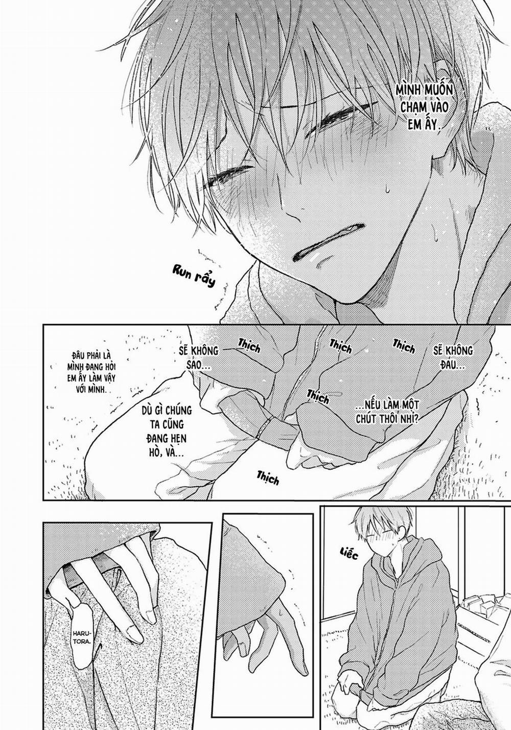 Đợi Chút Đã, Harutora-kun (END) 4 trang 18