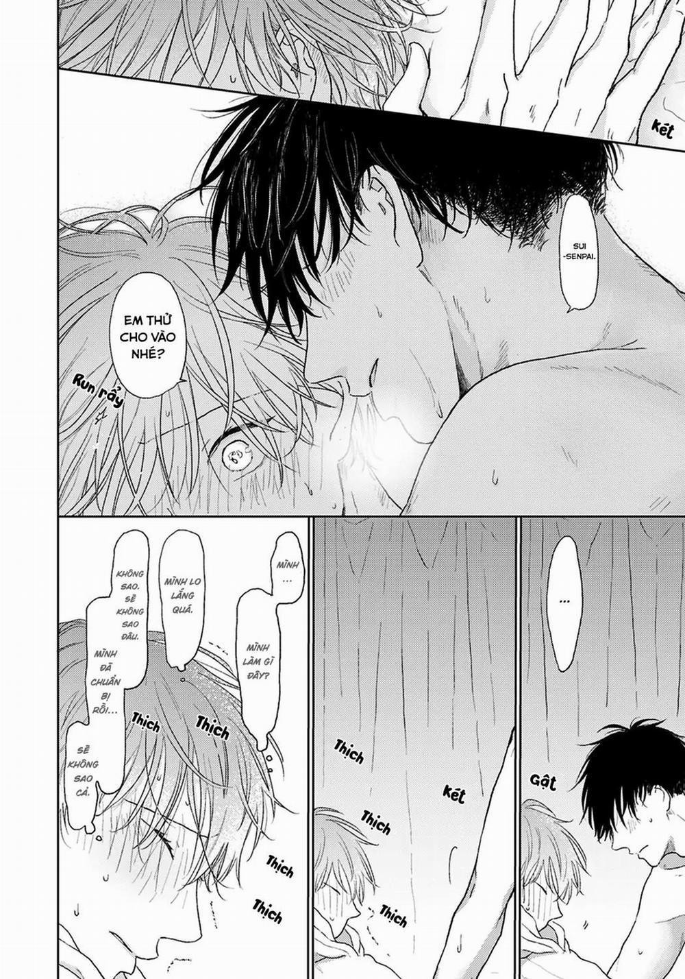 Đợi Chút Đã, Harutora-kun (END) 4 trang 30