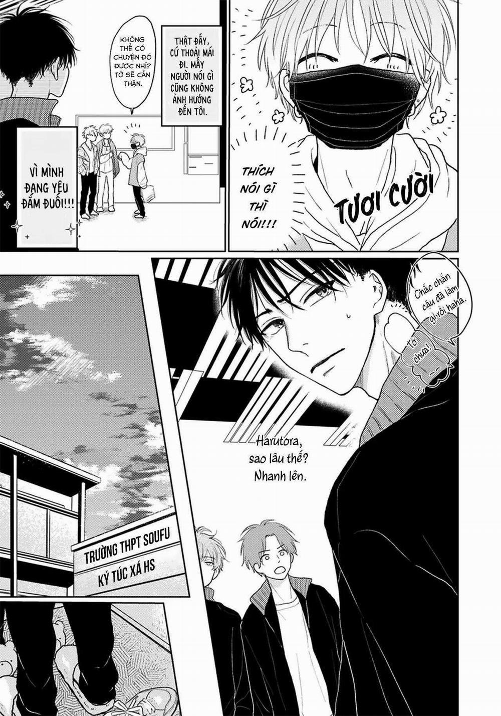 Đợi Chút Đã, Harutora-Kun 3 trang 5