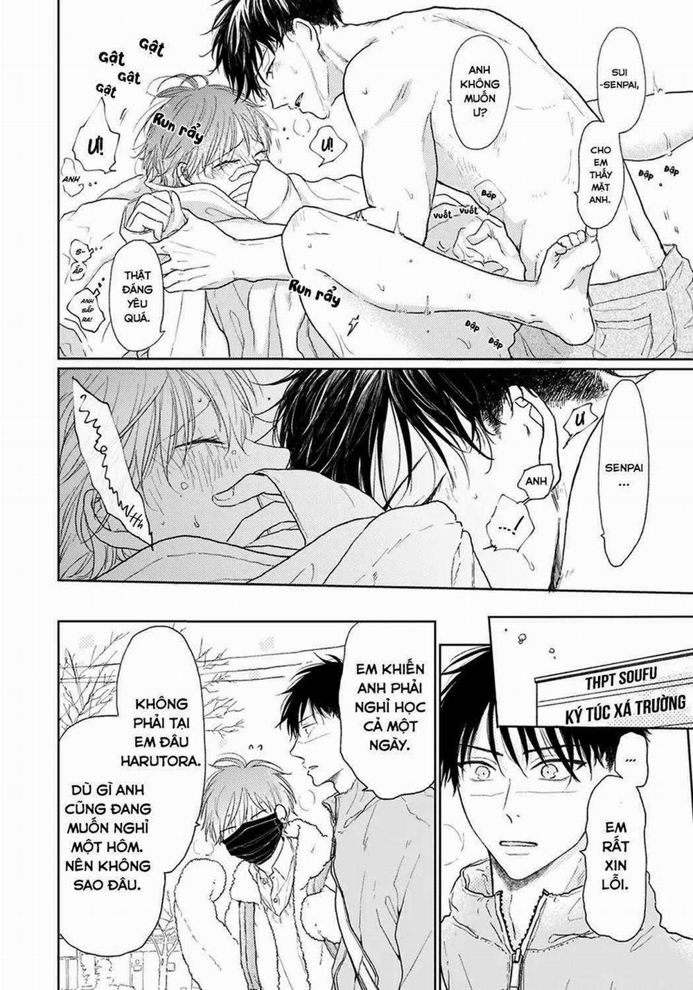 Đợi Chút Đã, Harutora-Kun 4 trang 36