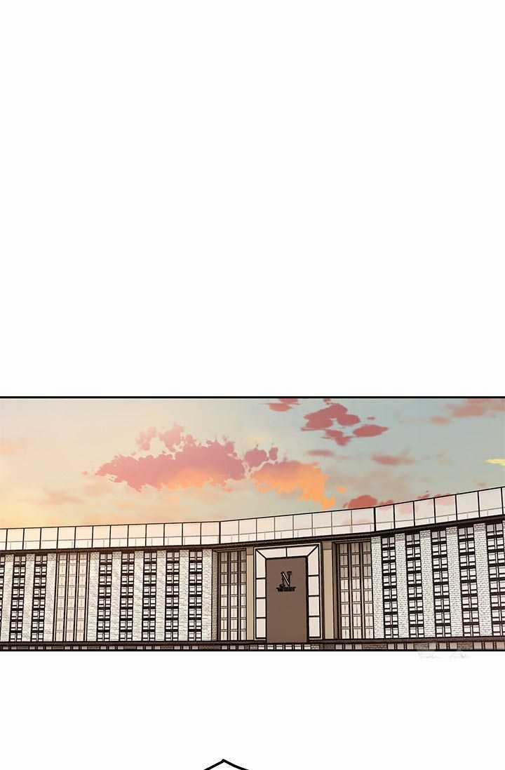 Đội Trưởng Lính Đánh Thuê 206 trang 37