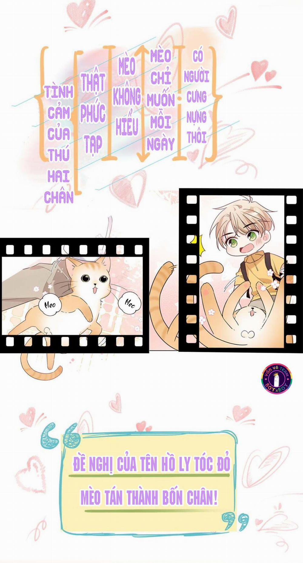 Đối Tượng Chung Nhà Là Tình Địch Thì Phải Làm Sao? (END) 0 trang 11