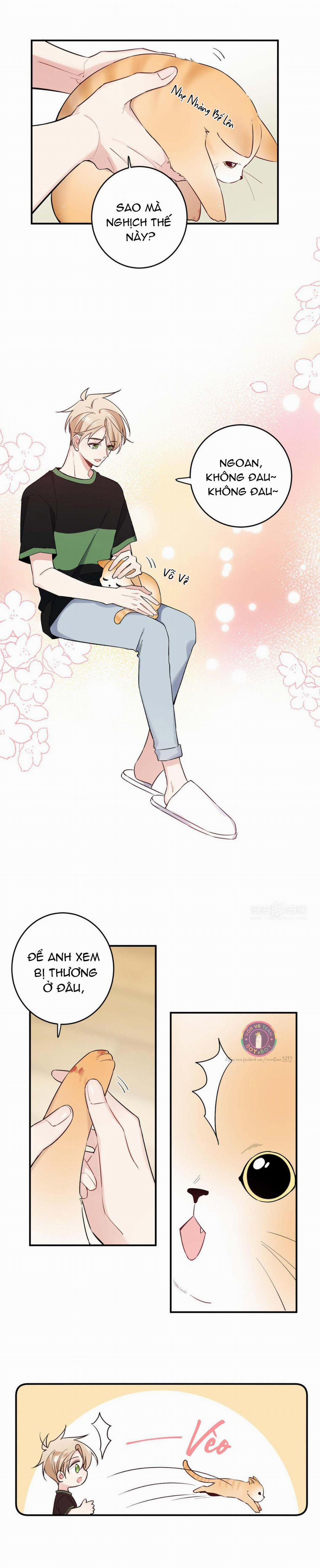 Đối Tượng Chung Nhà Là Tình Địch Thì Phải Làm Sao? (END) 15 trang 1