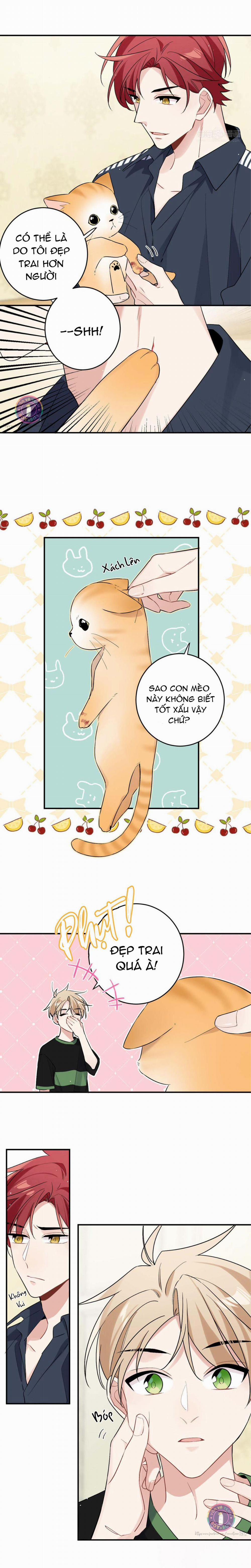 Đối Tượng Chung Nhà Là Tình Địch Thì Phải Làm Sao? (END) 15 trang 6