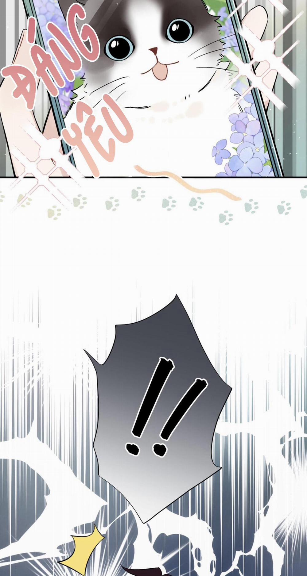 Đối Tượng Chung Nhà Là Tình Địch Thì Phải Làm Sao? (END) 52 trang 26