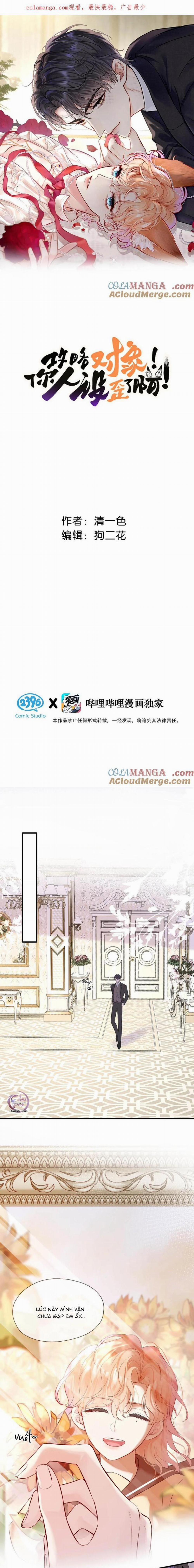 ĐỐI TƯỢNG CÔNG LƯỢC! THIẾT LẬP TÍNH CÁCH CỦA ANH BỊ MÉO MÓ RỒI! 12 trang 0