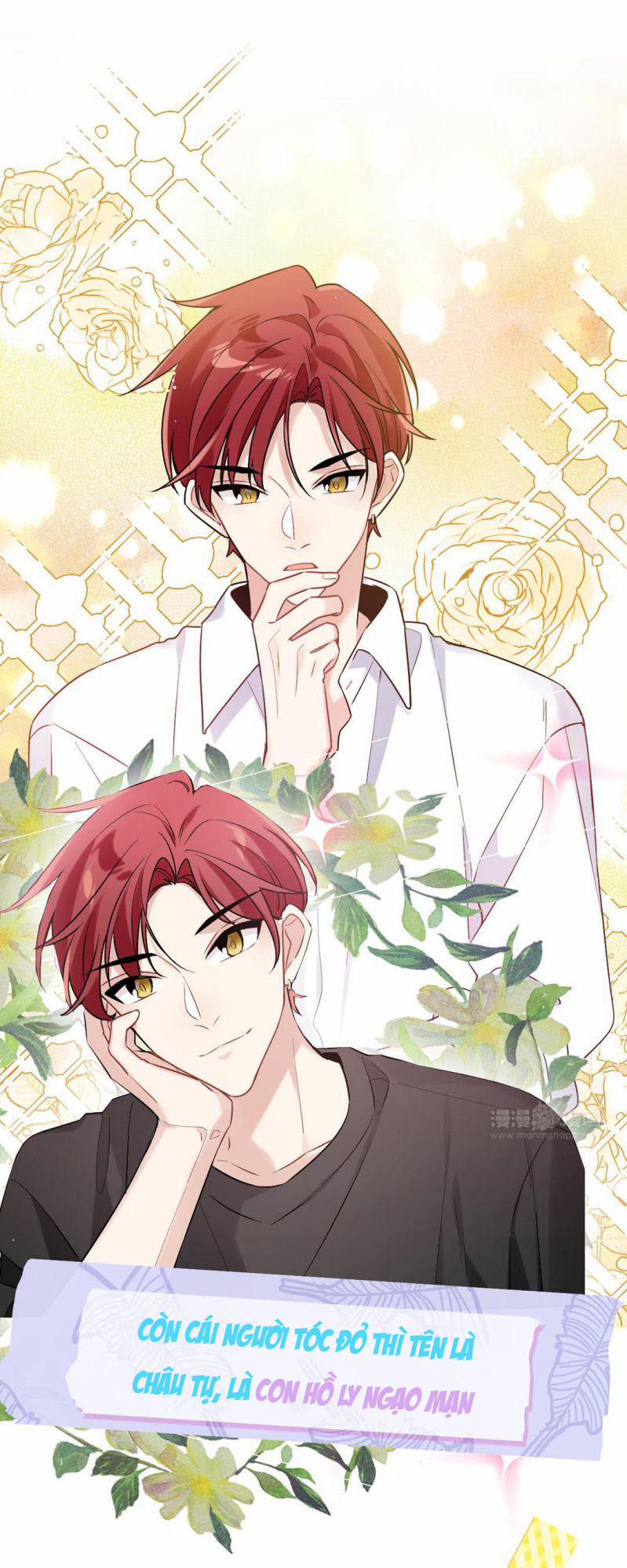 Đối Tượng Sống Chung Là Tình Địch Thì Phải Làm Sao 0 Văn án trang 2