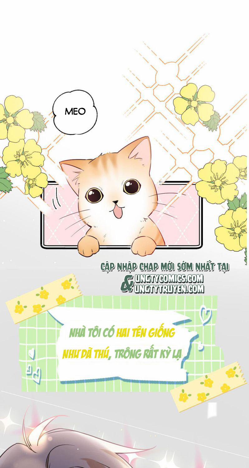 Đối Tượng Sống Chung Là Tình Địch Thì Phải Làm Sao 0 trang 0