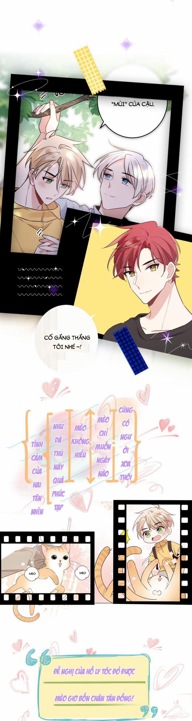 Đối Tượng Sống Chung Là Tình Địch Thì Phải Làm Sao 0 trang 7