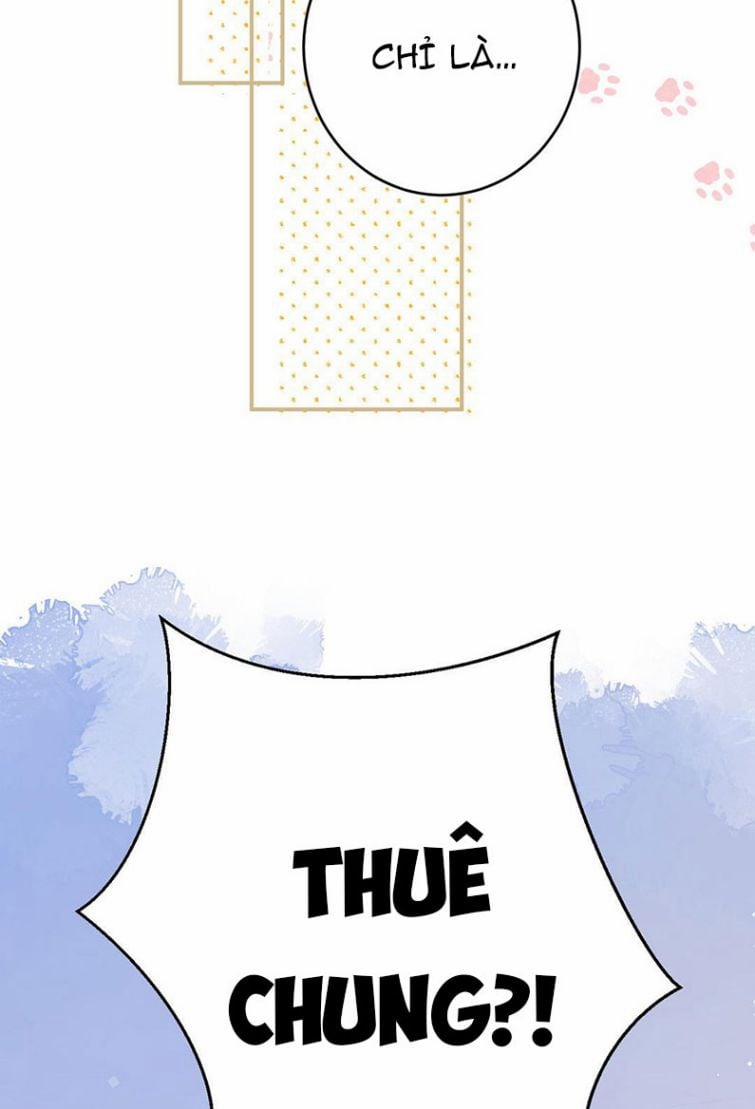 Đối Tượng Sống Chung Là Tình Địch Thì Phải Làm Sao 11 trang 11