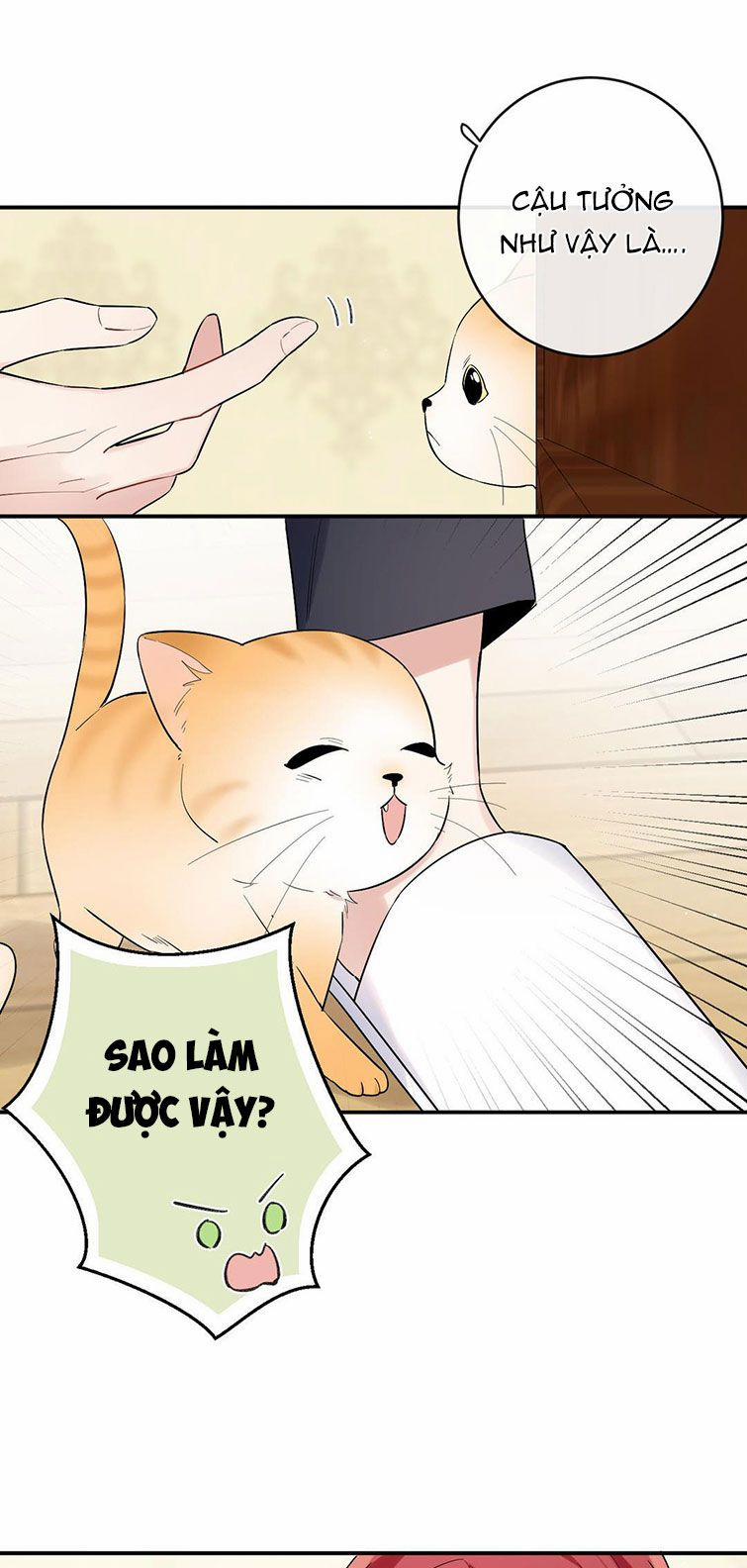 Đối Tượng Sống Chung Là Tình Địch Thì Phải Làm Sao 15 trang 16