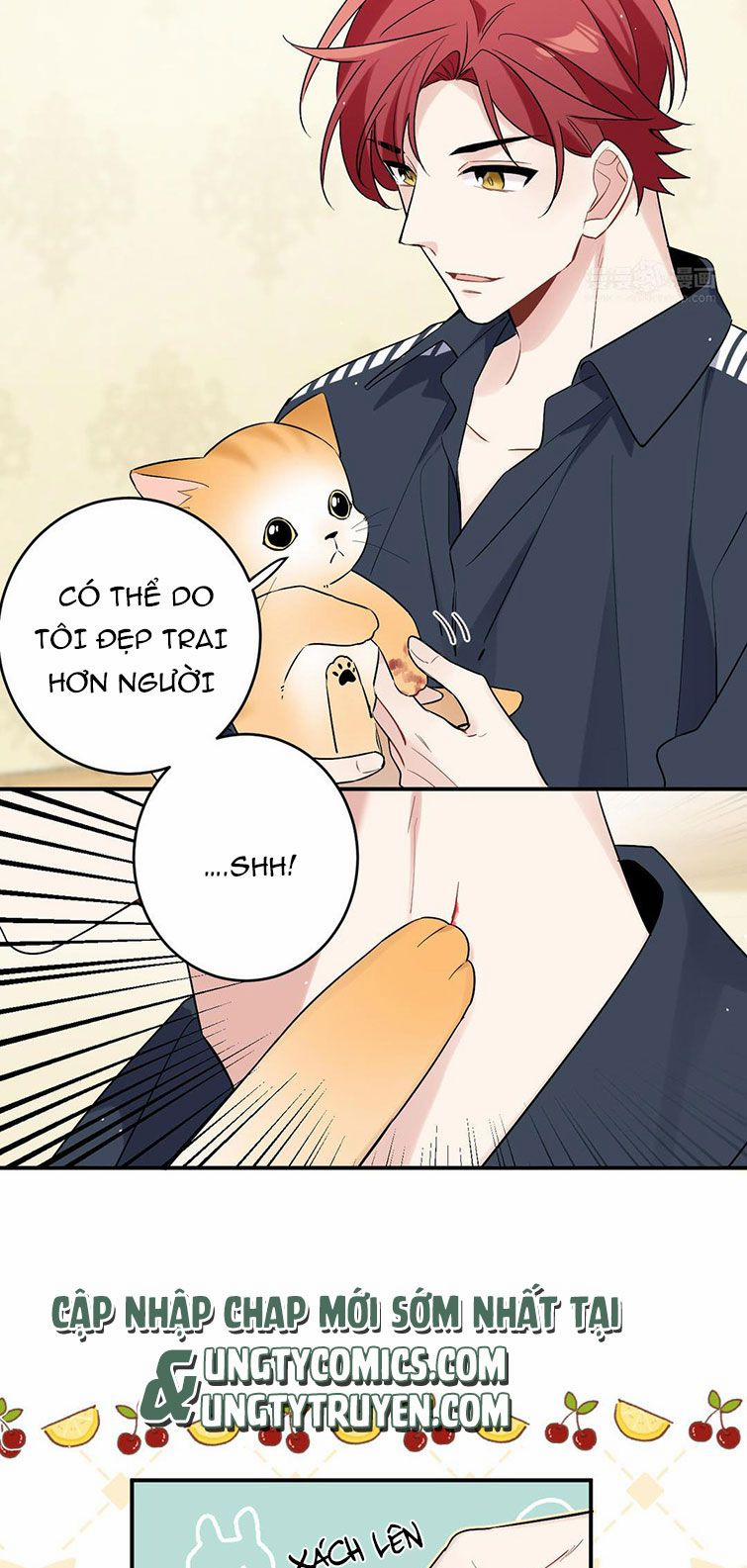 Đối Tượng Sống Chung Là Tình Địch Thì Phải Làm Sao 15 trang 17