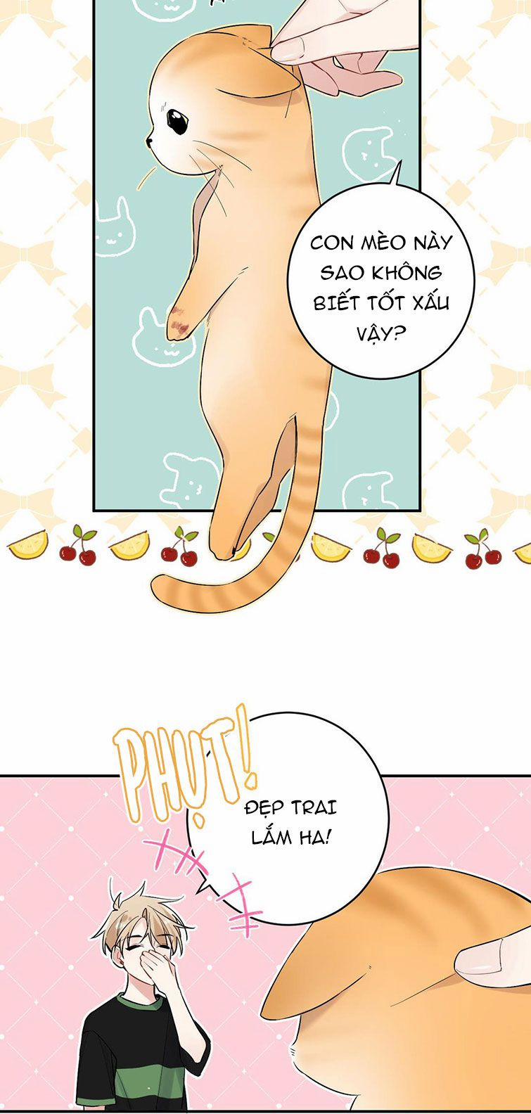 Đối Tượng Sống Chung Là Tình Địch Thì Phải Làm Sao 15 trang 18