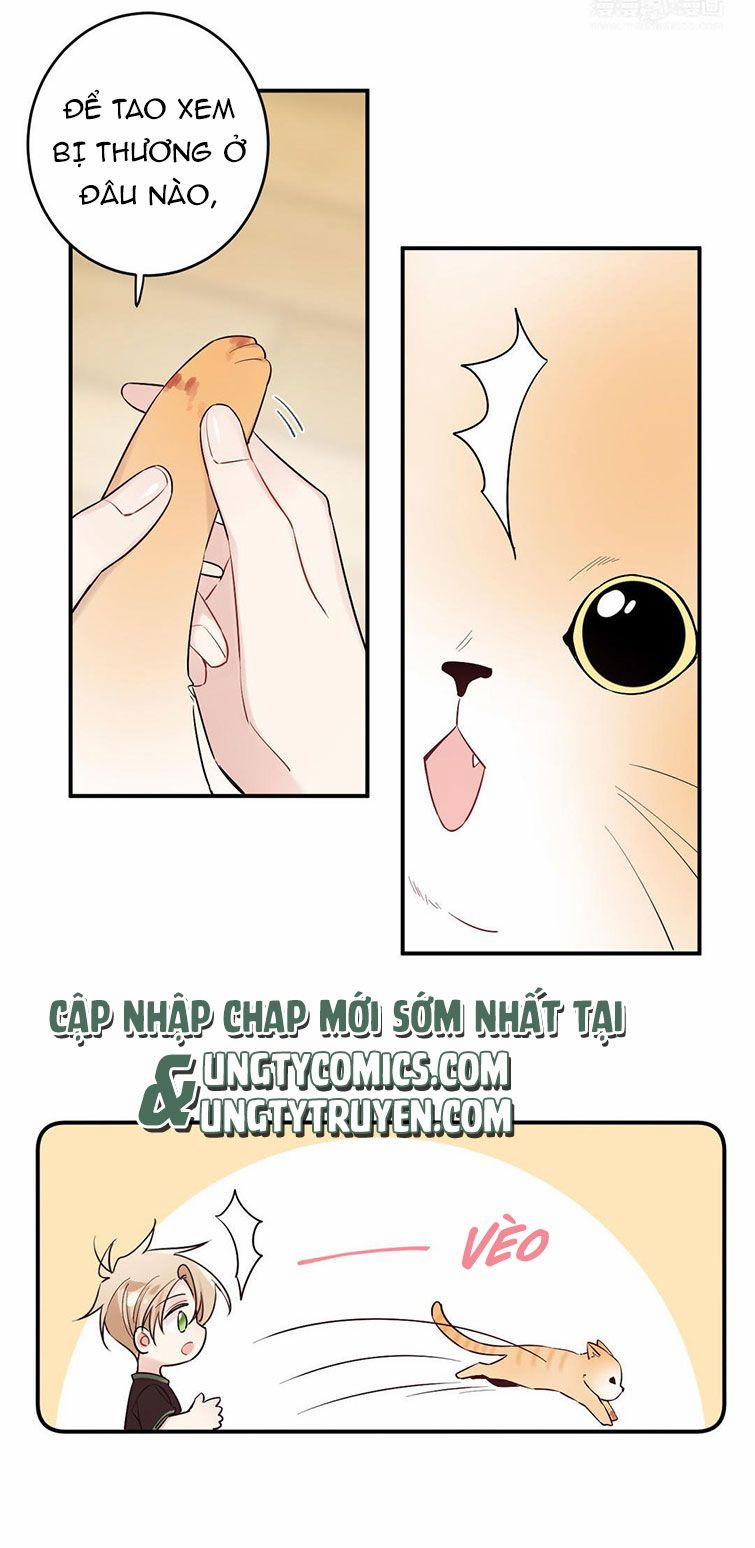 Đối Tượng Sống Chung Là Tình Địch Thì Phải Làm Sao 15 trang 5