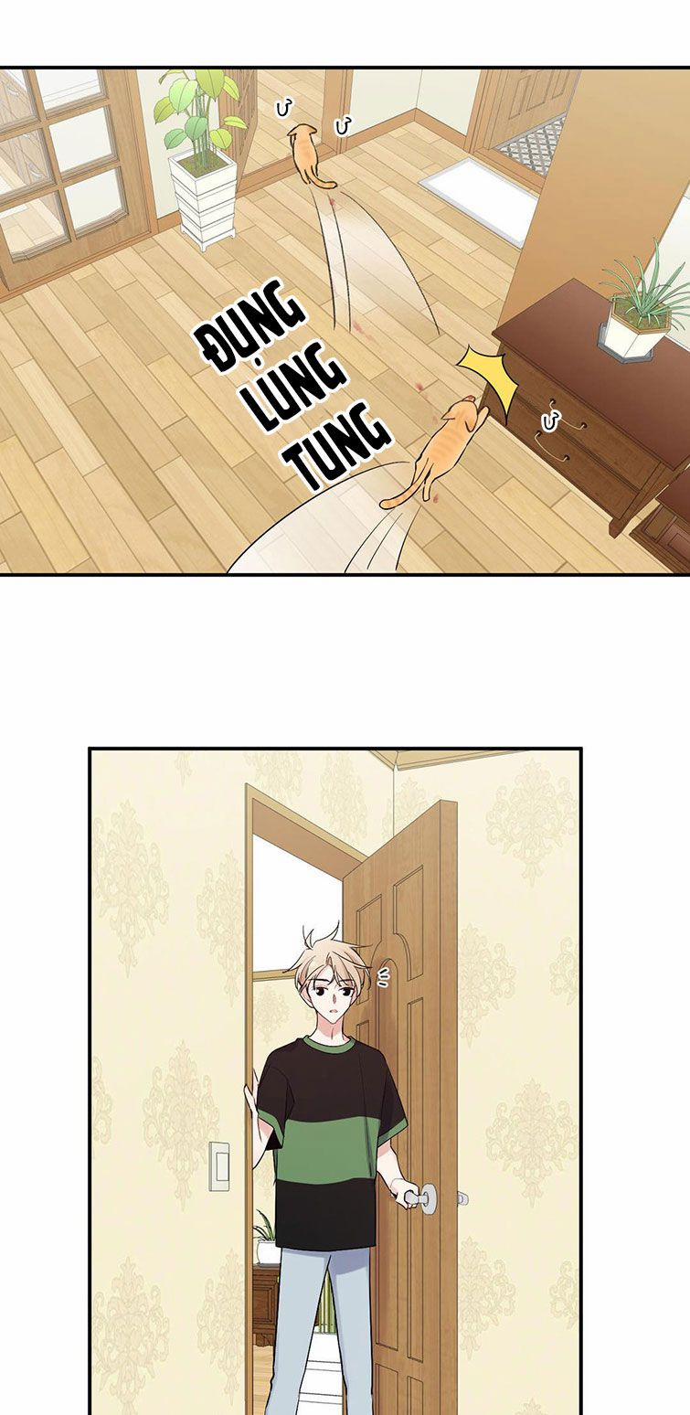 Đối Tượng Sống Chung Là Tình Địch Thì Phải Làm Sao 15 trang 6