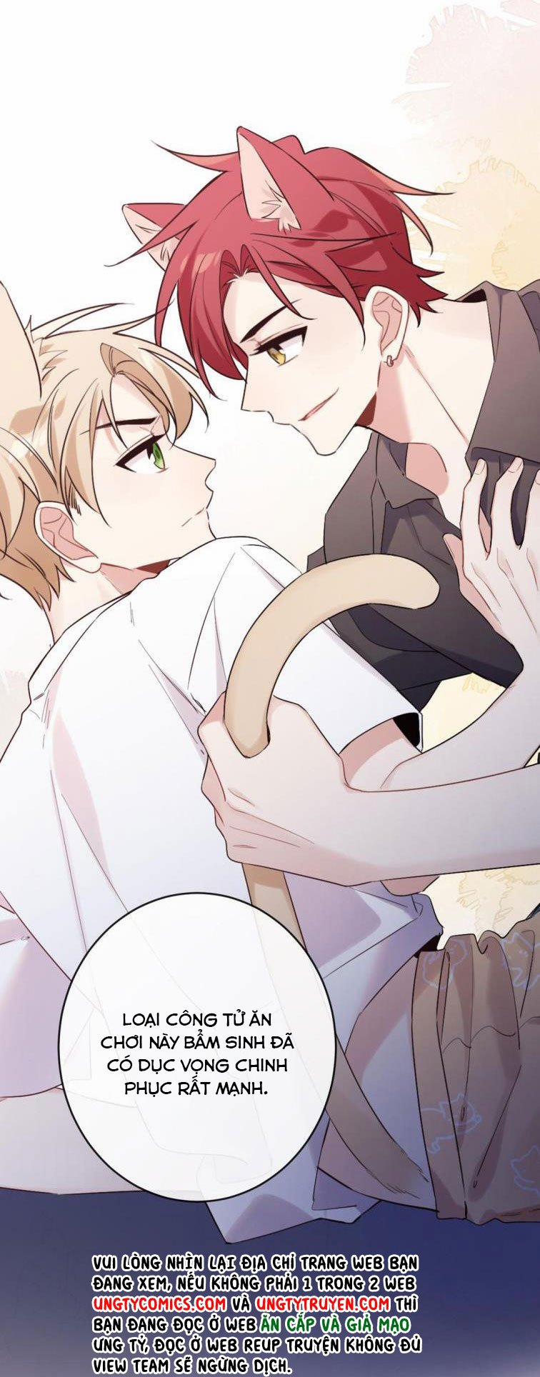 Đối Tượng Sống Chung Là Tình Địch Thì Phải Làm Sao 18 trang 21