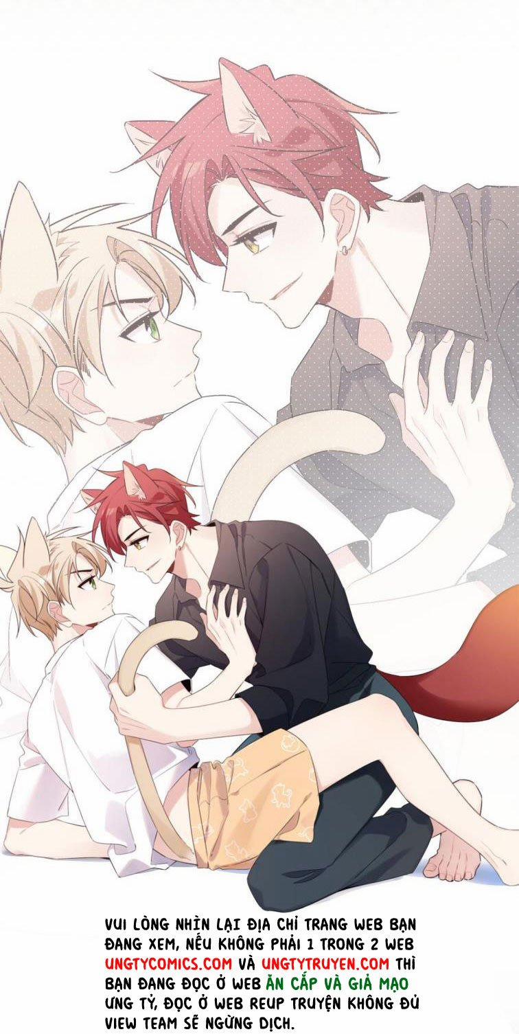 Đối Tượng Sống Chung Là Tình Địch Thì Phải Làm Sao 18 trang 61