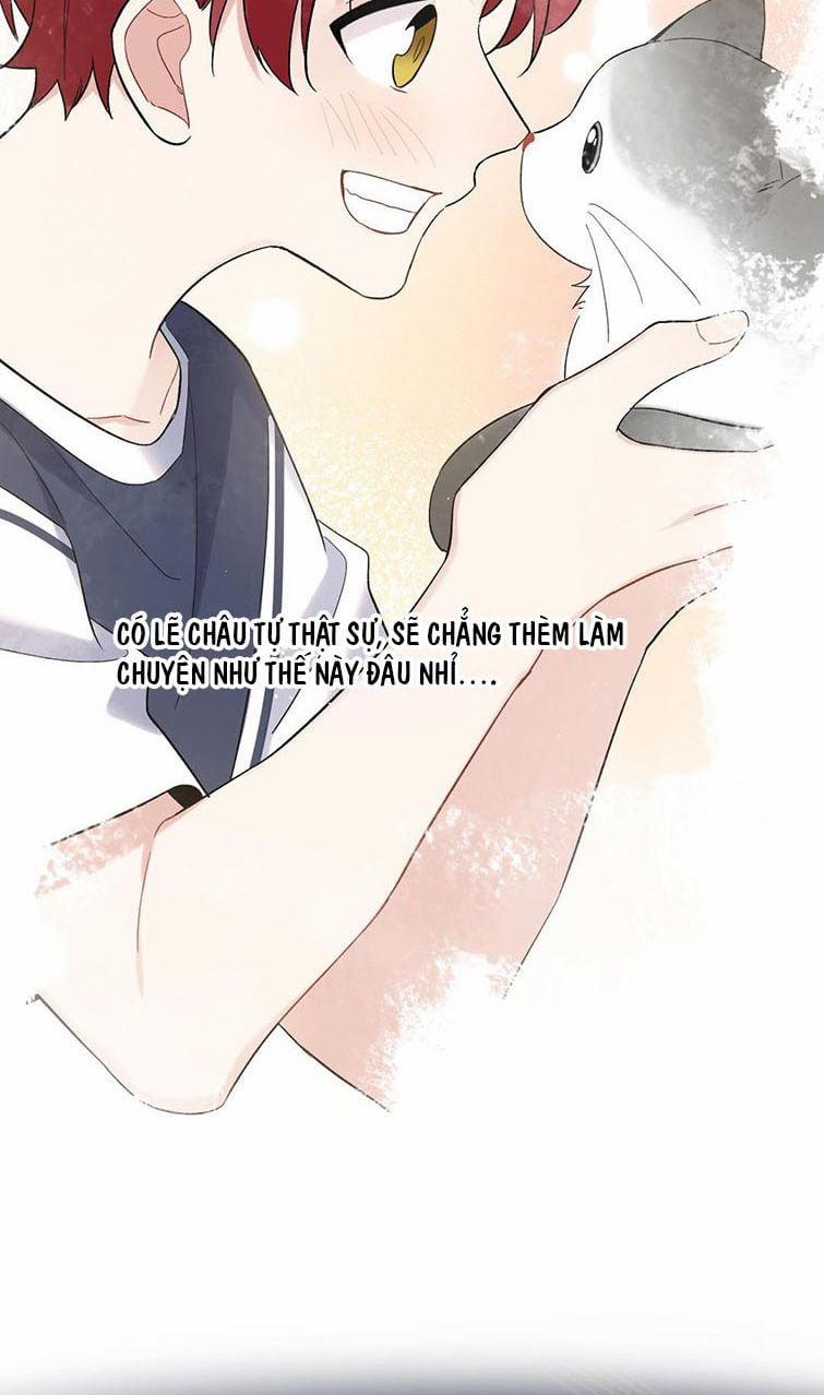 Đối Tượng Sống Chung Là Tình Địch Thì Phải Làm Sao 24 trang 15