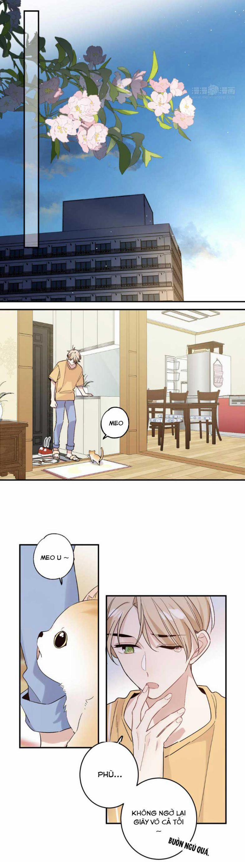 Đối Tượng Sống Chung Là Tình Địch Thì Phải Làm Sao 27 trang 8