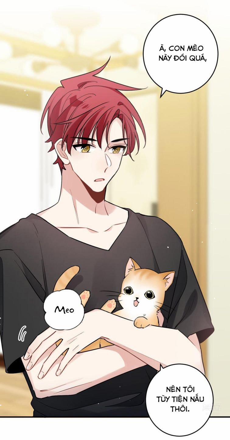 Đối Tượng Sống Chung Là Tình Địch Thì Phải Làm Sao 3 trang 15