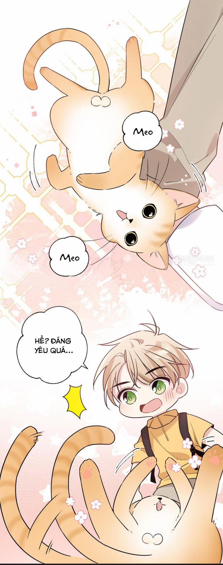 Đối Tượng Sống Chung Là Tình Địch Thì Phải Làm Sao 3 trang 18