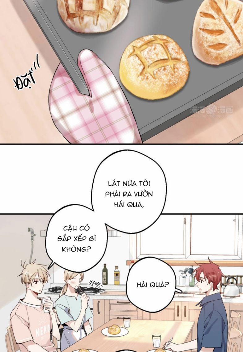 Đối Tượng Sống Chung Là Tình Địch Thì Phải Làm Sao 30 trang 11