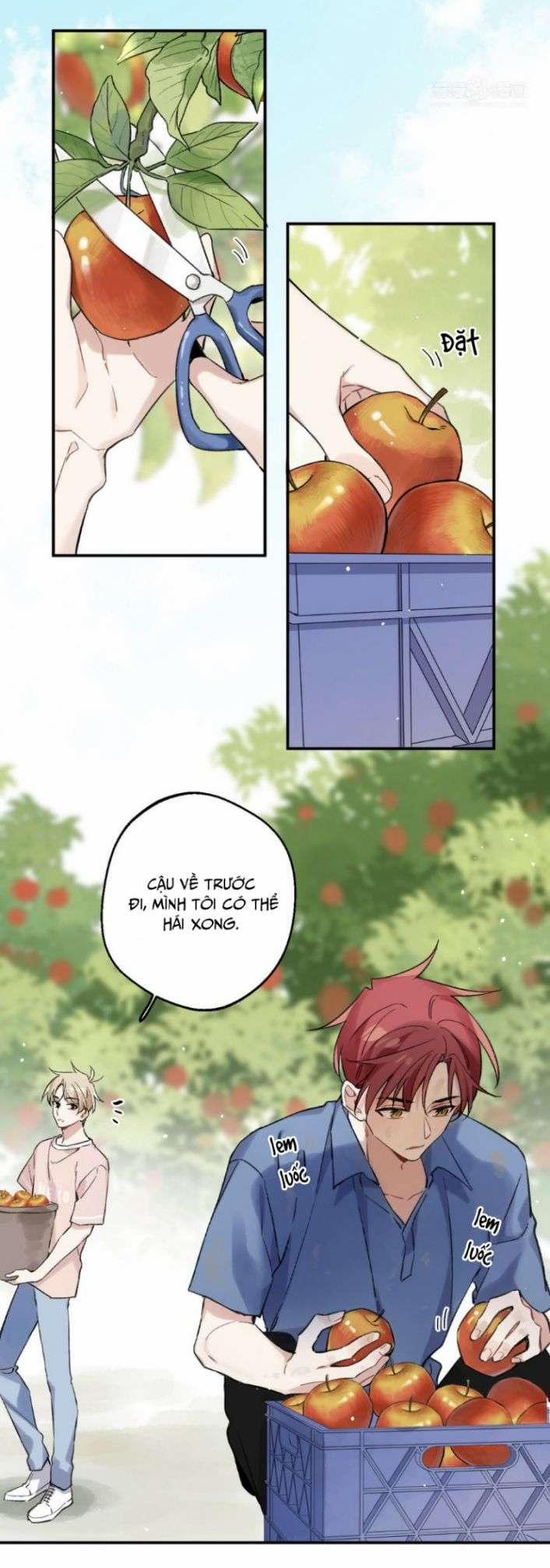 Đối Tượng Sống Chung Là Tình Địch Thì Phải Làm Sao 31 trang 5