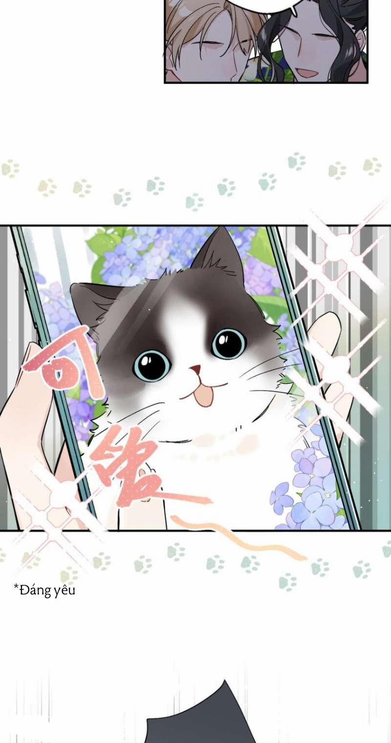 Đối Tượng Sống Chung Là Tình Địch Thì Phải Làm Sao 52 trang 29