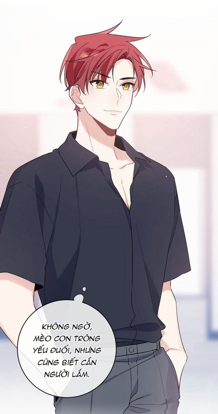 Đối Tượng Sống Chung Là Tình Địch Thì Phải Làm Sao 7 trang 16