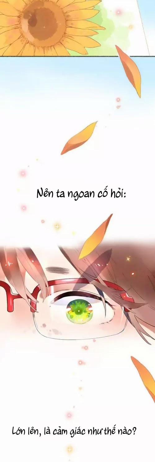 Dolo Vận Mệnh Giao Nang 0.5 trang 14