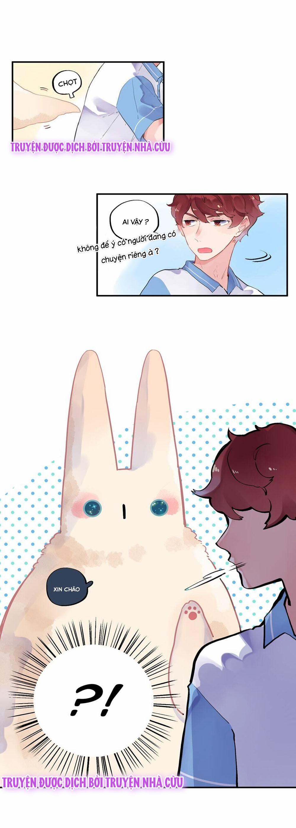 Dolo Vận Mệnh Giao Nang 3 trang 4