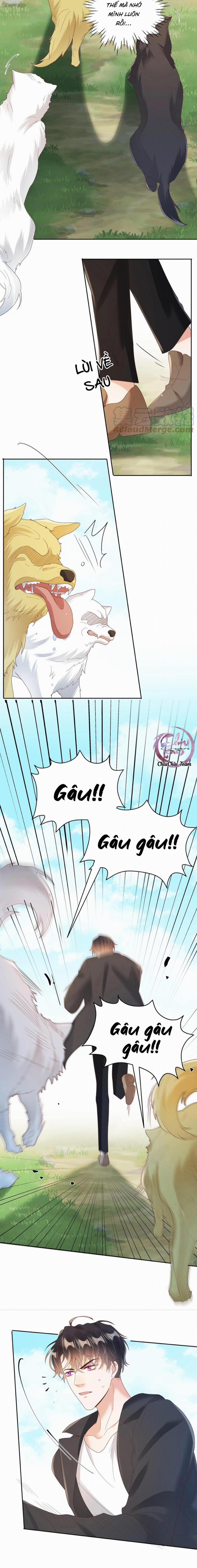 Đơn Phương Kết Hôn 28 trang 8