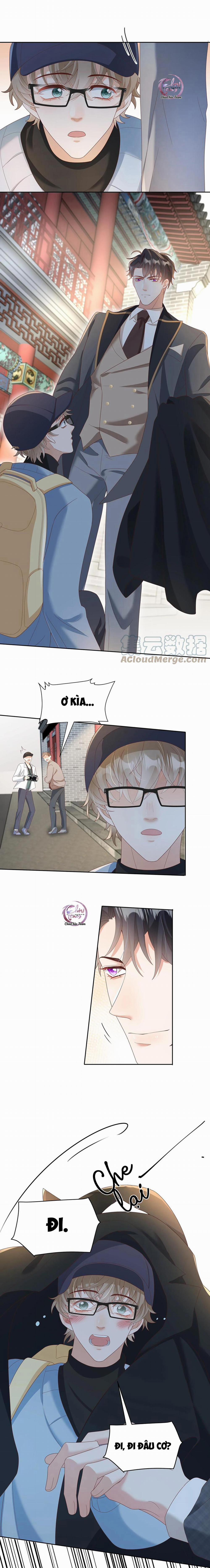 Đơn Phương Kết Hôn 29 trang 8