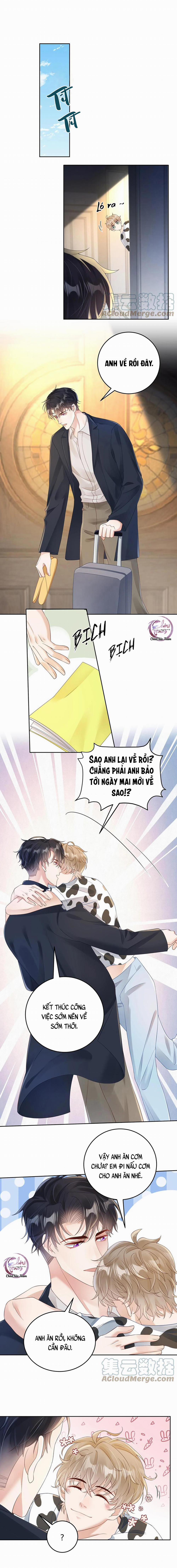 Đơn Phương Kết Hôn 31 trang 6